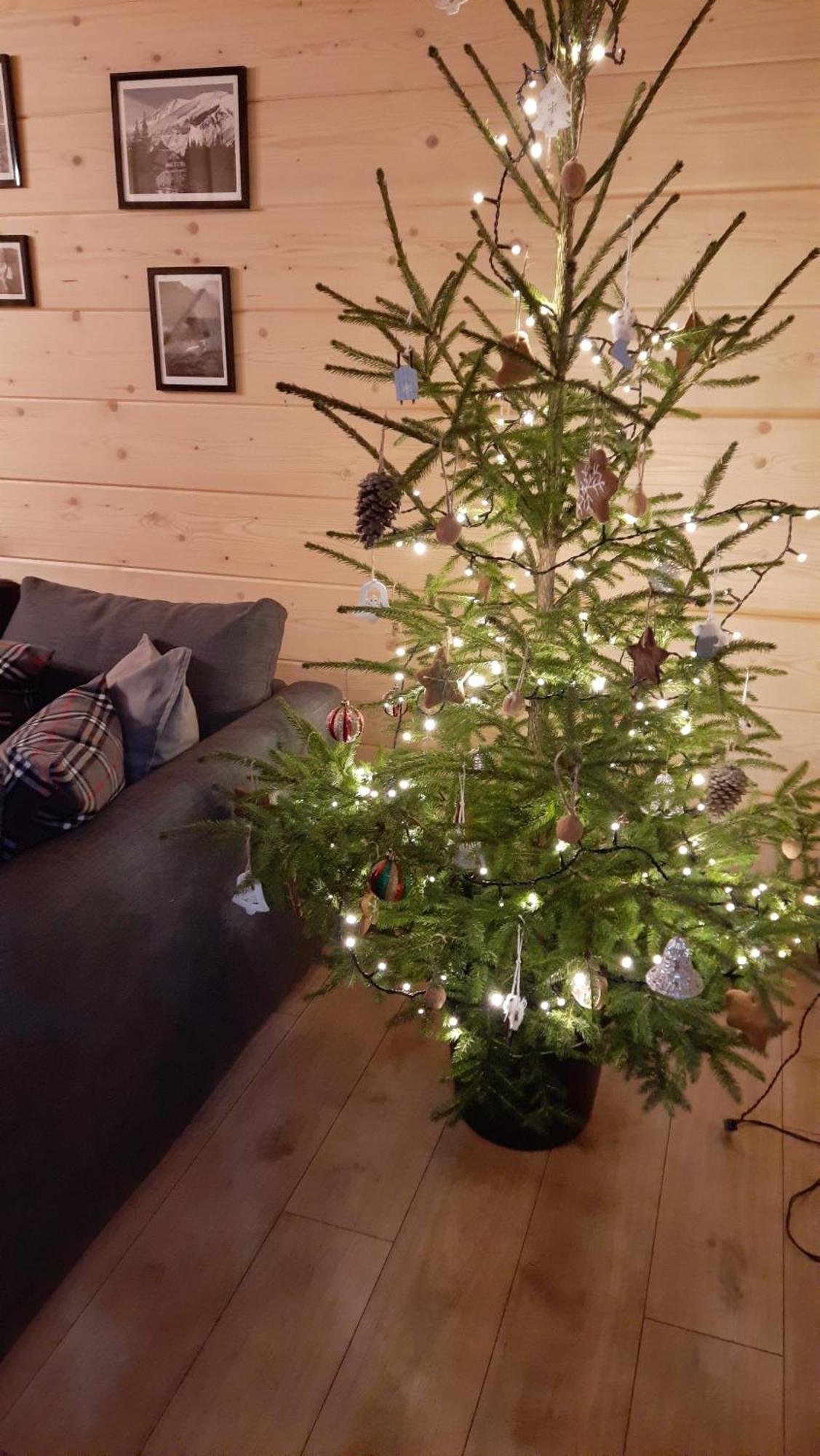 Goralska Chata Przy Dolinie Chocholowskiej Witów Exterior foto