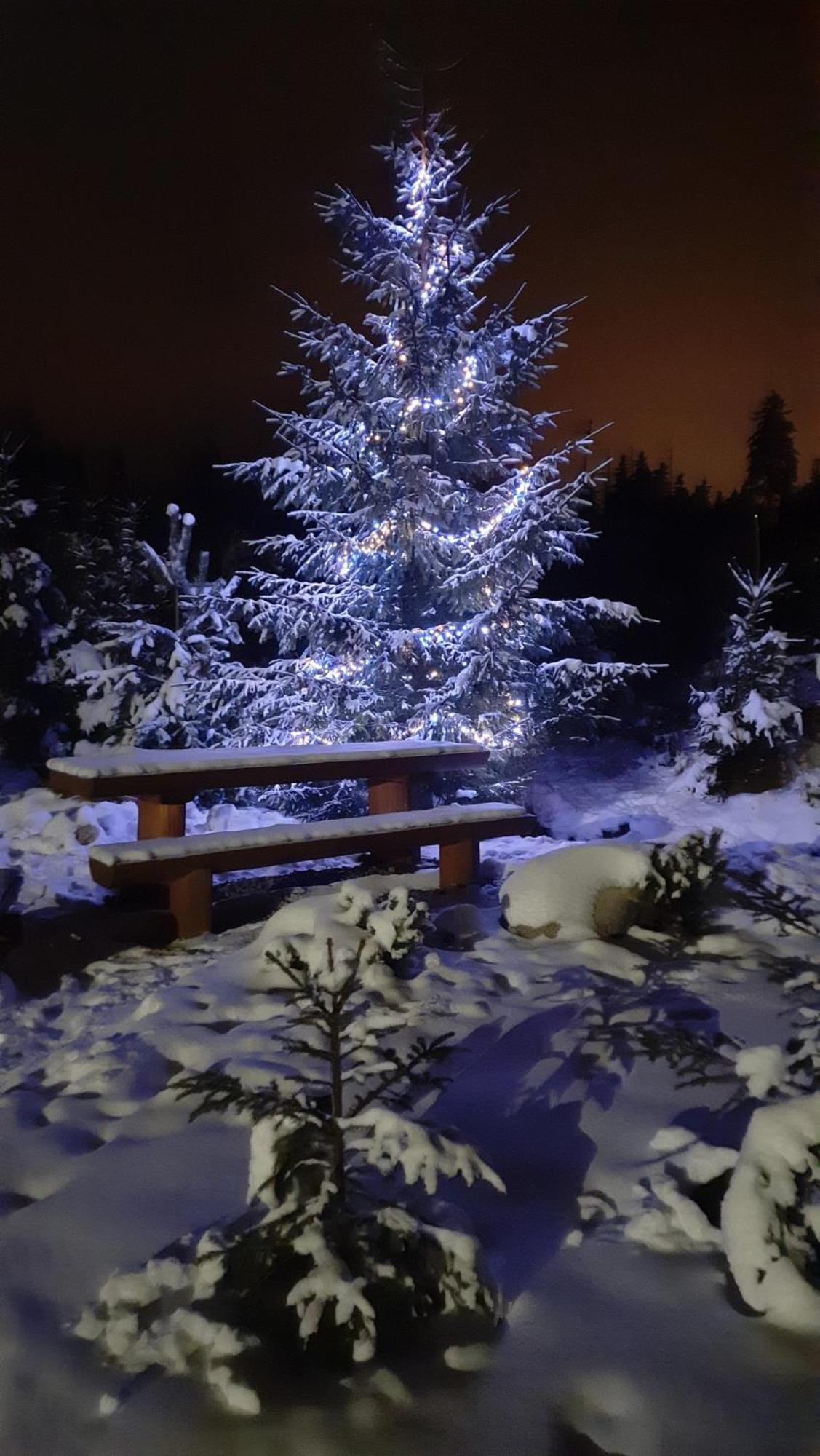Goralska Chata Przy Dolinie Chocholowskiej Witów Exterior foto