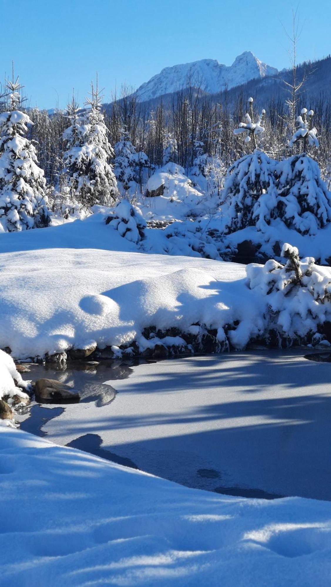 Goralska Chata Przy Dolinie Chocholowskiej Witów Exterior foto