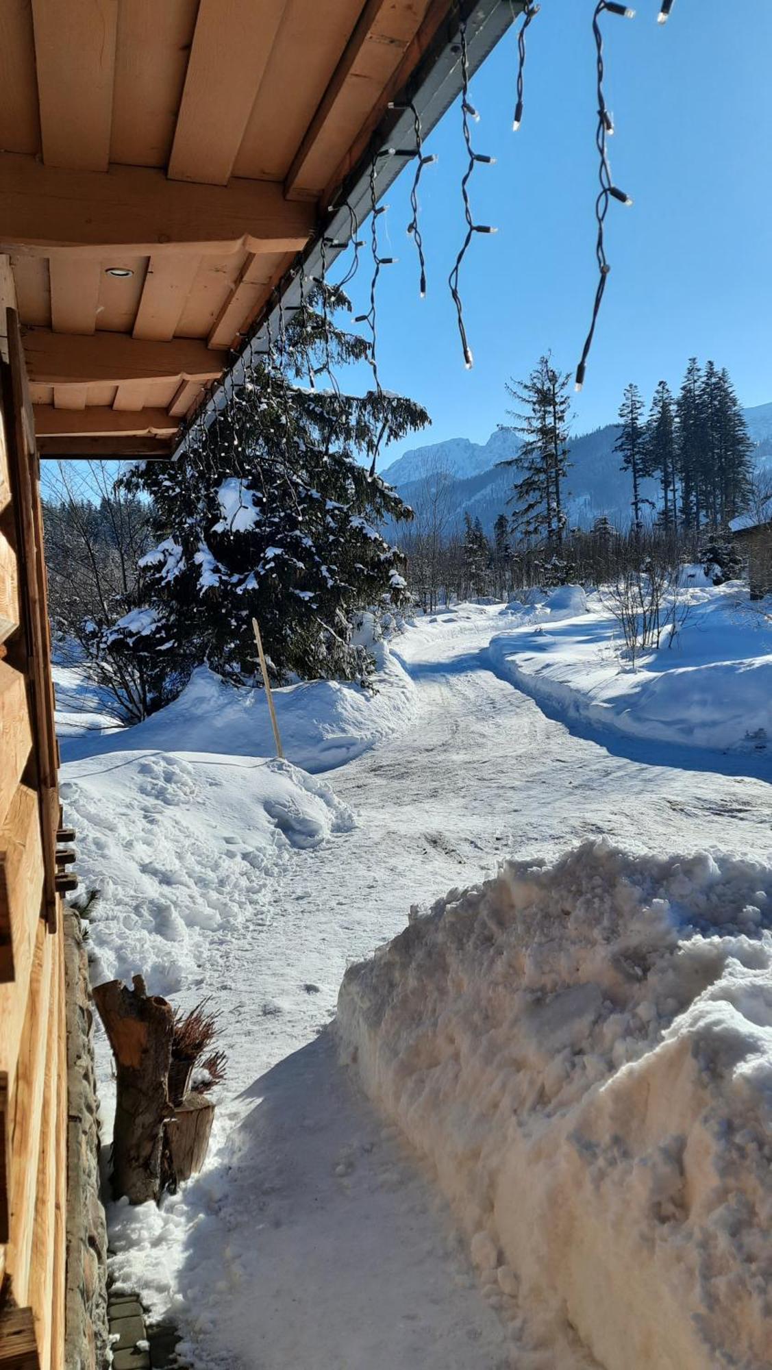 Goralska Chata Przy Dolinie Chocholowskiej Witów Exterior foto