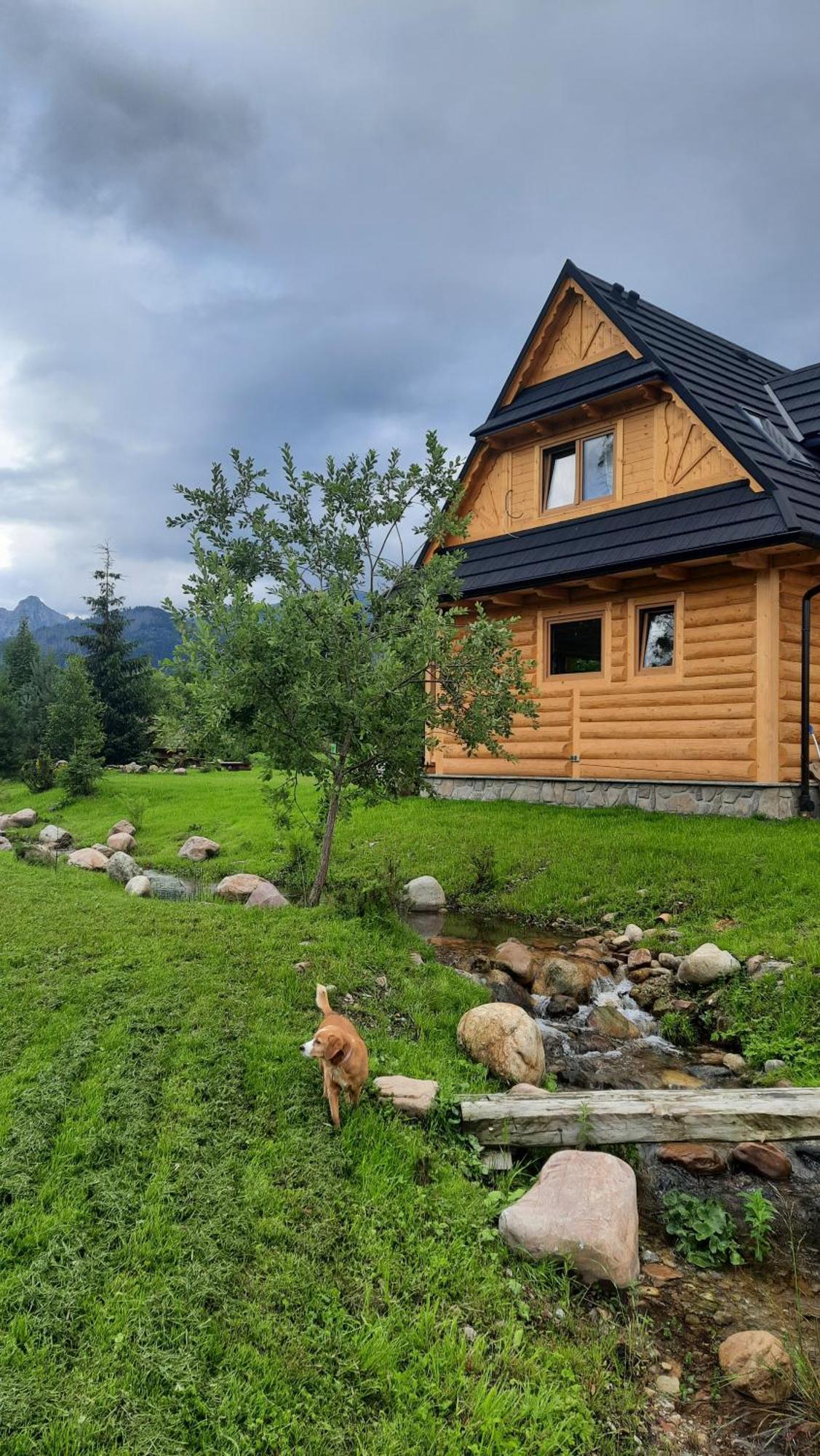 Goralska Chata Przy Dolinie Chocholowskiej Witów Exterior foto