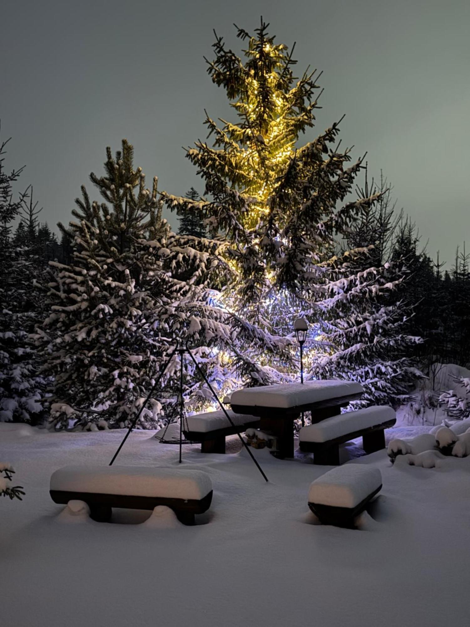 Goralska Chata Przy Dolinie Chocholowskiej Witów Exterior foto